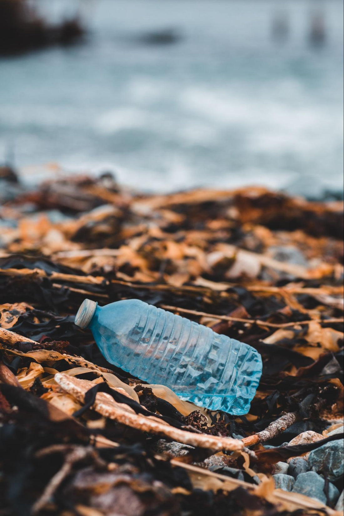  A used plastic water bottle that has been discarded in nature