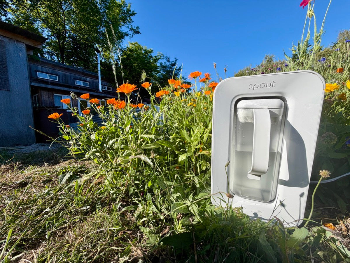 Spout Monolith outdoors among garden flowers