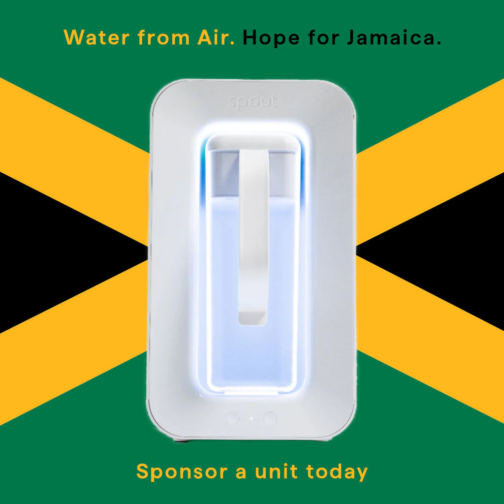 Spout Monolith For Jamaica Hurricane Survivors