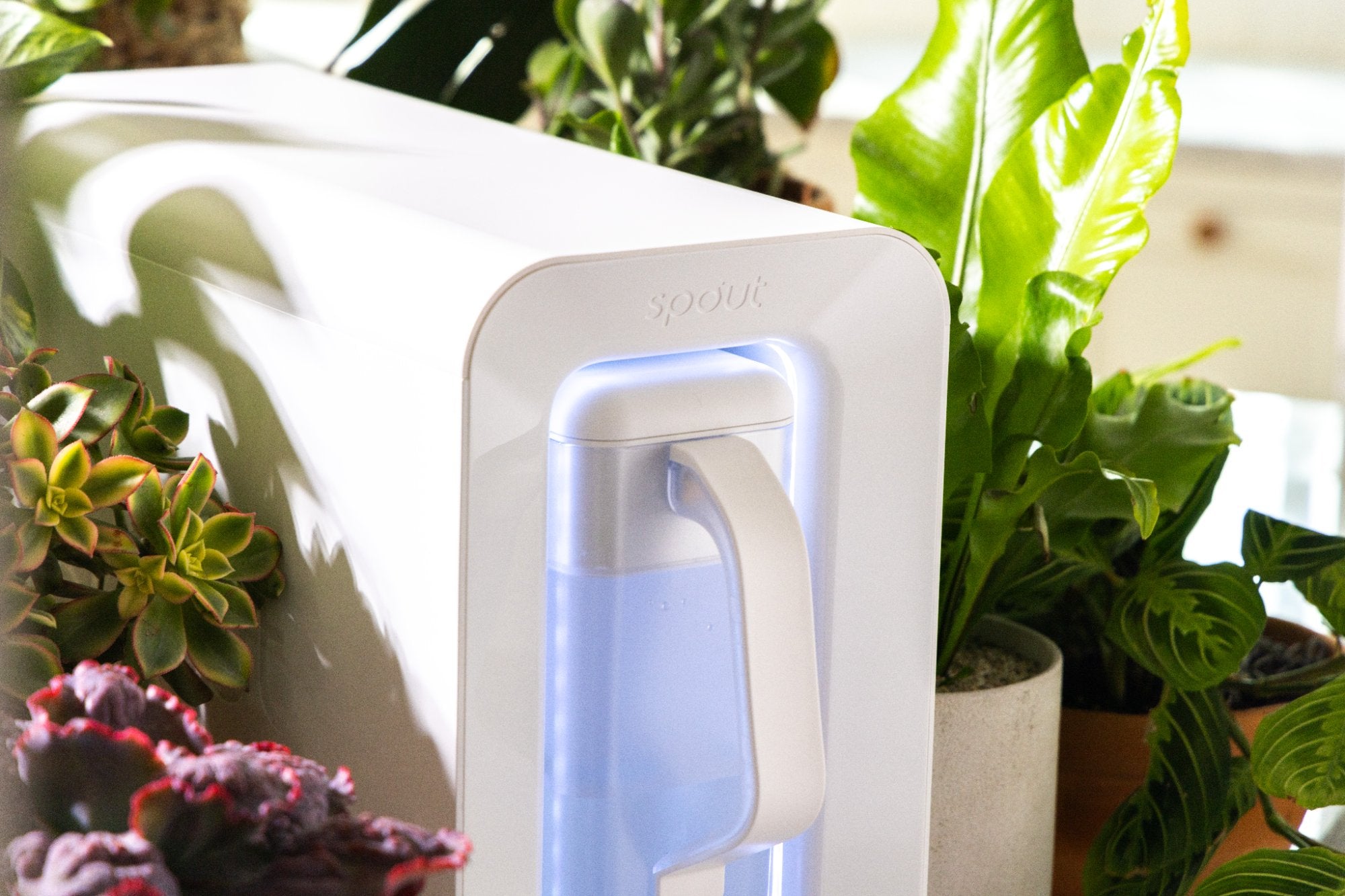 Spout surrounded by plants