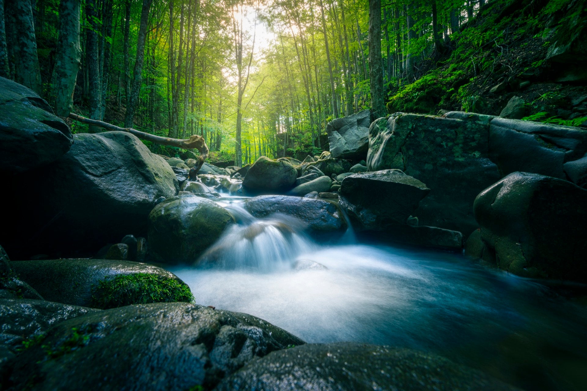 A clear forest spring running over mineral rock